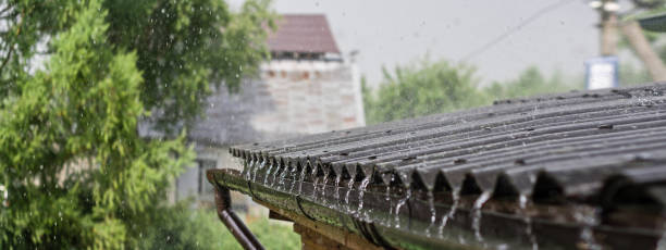 Gestion écologique des eaux pluviales