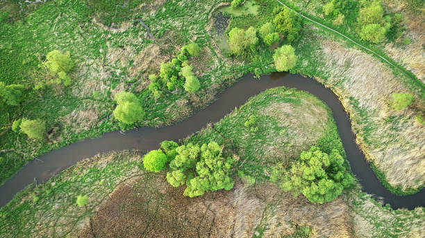 Renaturation des cours d'eau